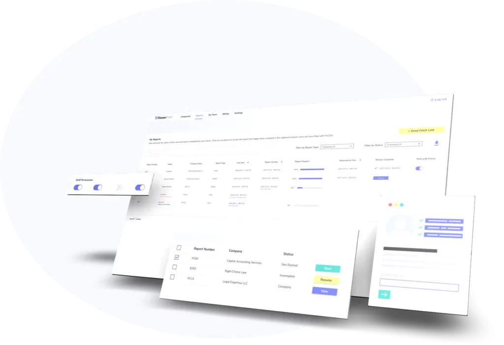 beneficial ownership reporting software - FincenFetch boi report demo