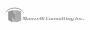 manzelli-consulting